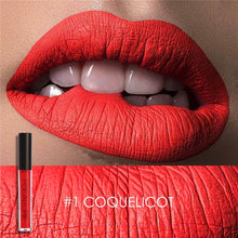 Load image into Gallery viewer, FOCALLURE Ultra Chic Matte Liquid Lipstick